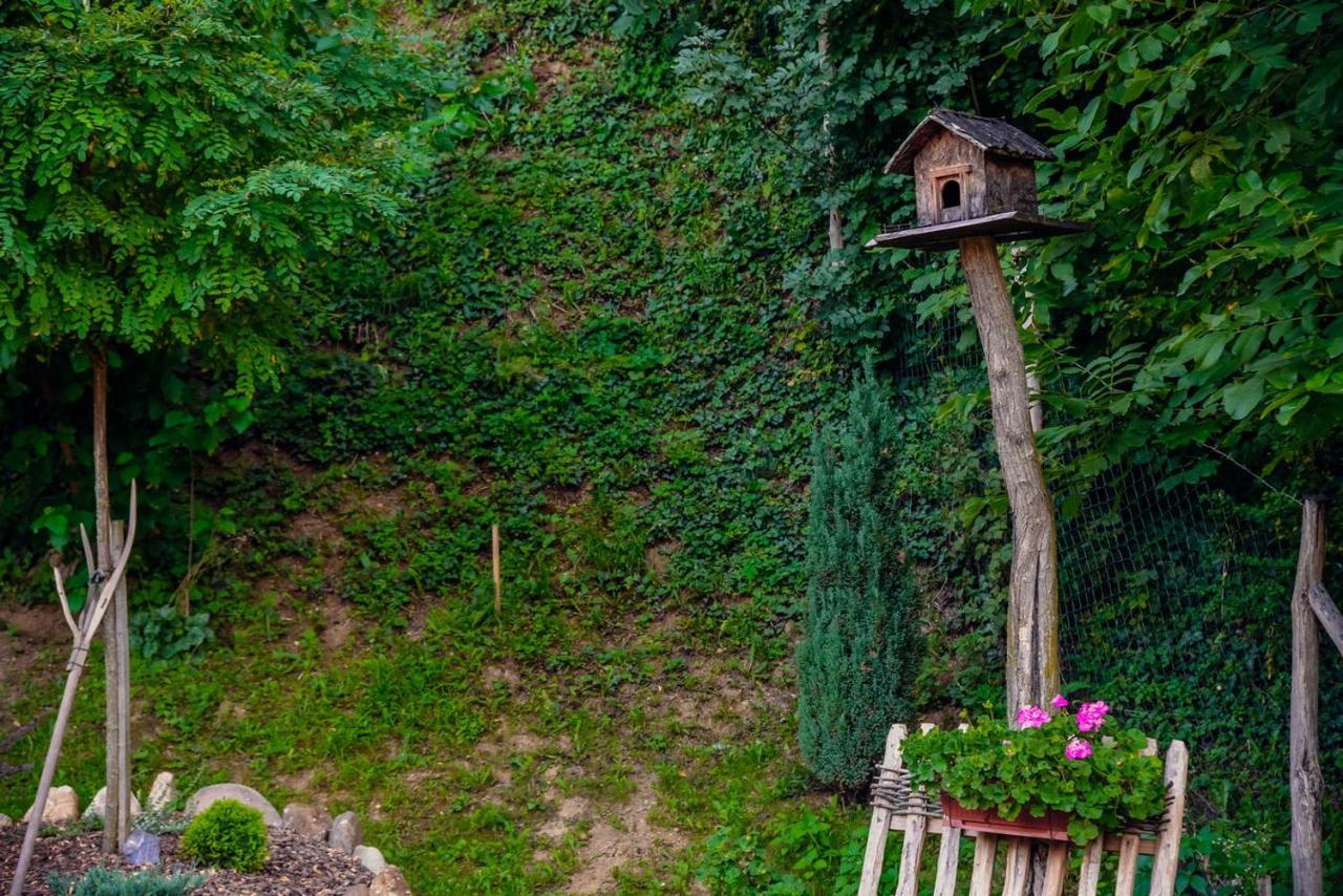 Etno Kuca Todorovic Villa Smederevo Buitenkant foto