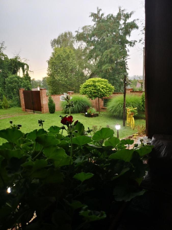 Etno Kuca Todorovic Villa Smederevo Buitenkant foto