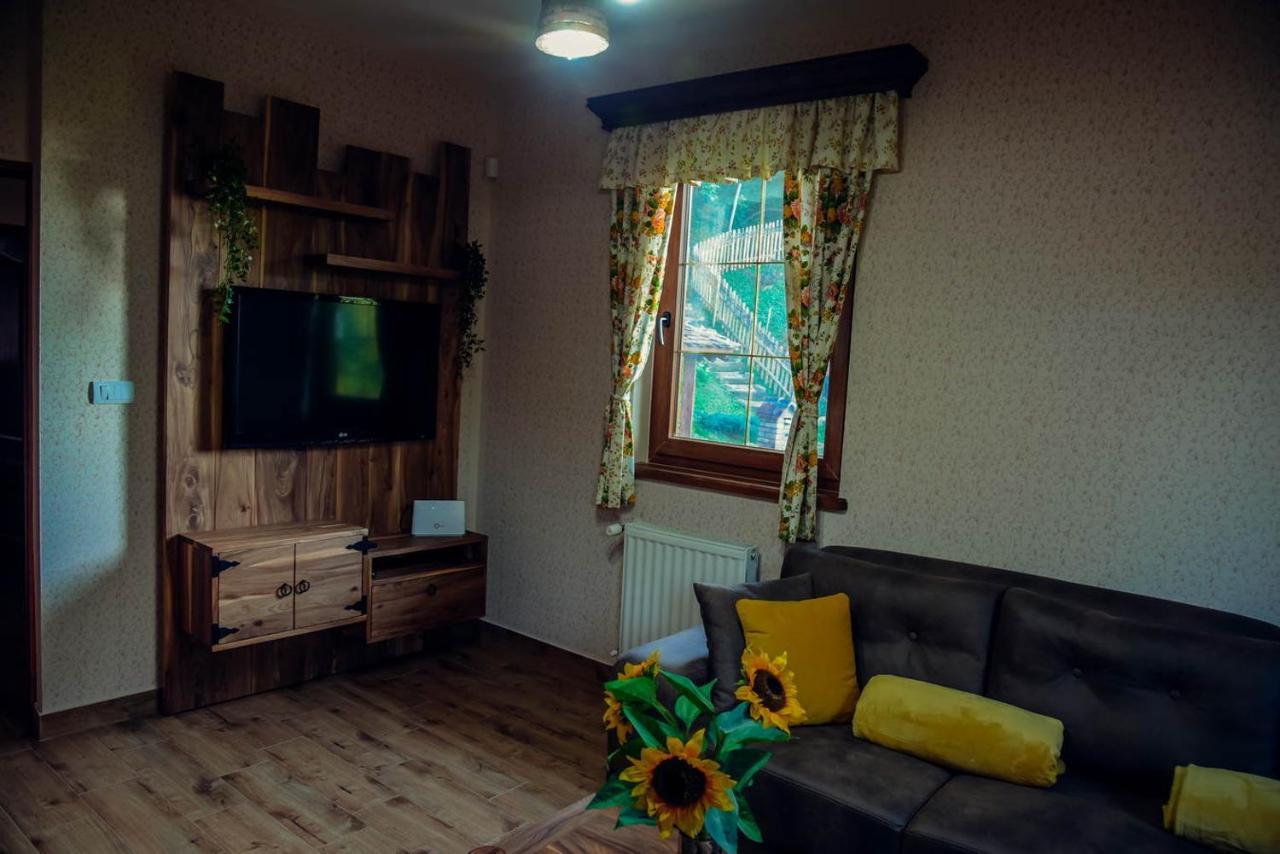 Etno Kuca Todorovic Villa Smederevo Buitenkant foto