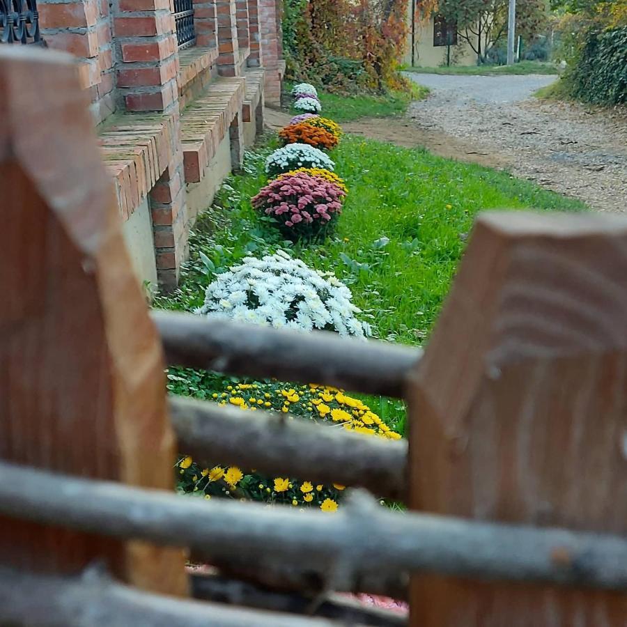 Etno Kuca Todorovic Villa Smederevo Buitenkant foto