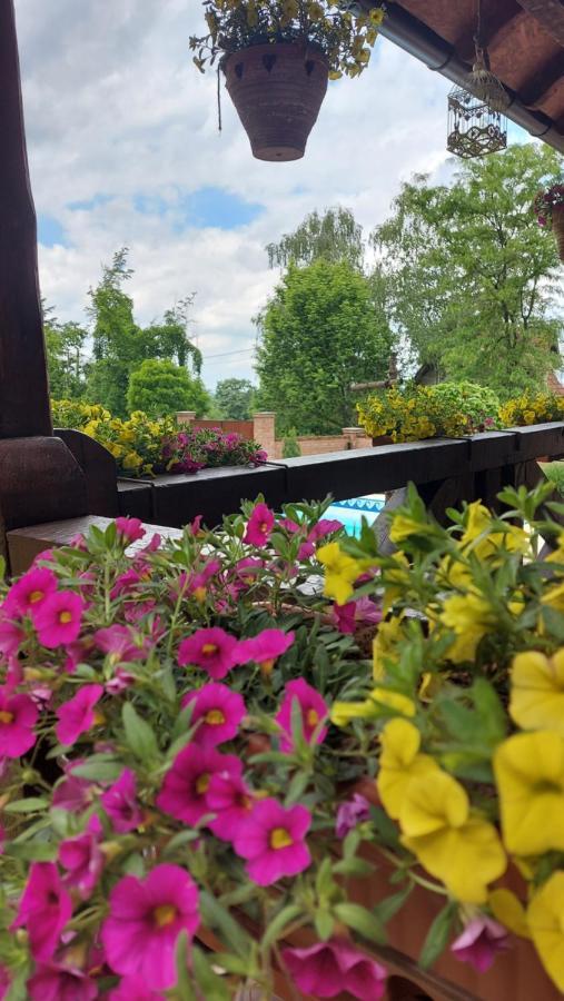 Etno Kuca Todorovic Villa Smederevo Buitenkant foto